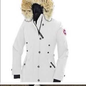 Rare white Canada Goose in excellent condition.